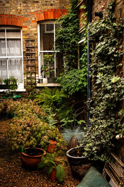 A cozy urban garden scene featuring a weathered wooden bench positioned on a curved brick pathway. Surrounding the seating area are lush, dense shrubs and ornamental grasses with feathery, beige-tinted plumes. In the background, a light blue painted metal arbor with decorative curved supports supports a canopy of vibrant green foliage, including climbing plants and vines. To the right, there is a textured stone wall, and beyond the garden, the upper floors of red brick buildings are visible under an overcast sky. The garden appears well-maintained with a mix of textured plants, trimmed hedges, and gravel areas, demonstrating thoughtful landscaping work by Gardeners Stockwell, aligned with the courtyard revamp case at Larkhall Park.